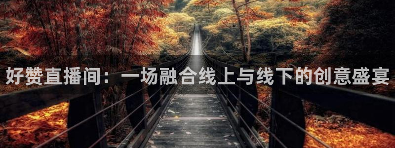 上海五星体育频道节目表今天直播：好赞直播间：一场融合线上与线下的创意盛宴