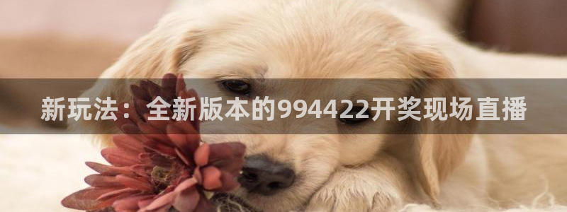 今晚五星体育：新玩法：全新版本的994422开奖现场直播