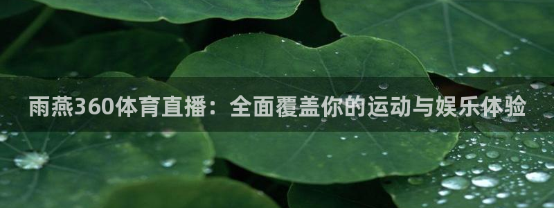 看五星体育直播的app：雨燕360体育直播：全面覆盖你的运动与娱乐体验